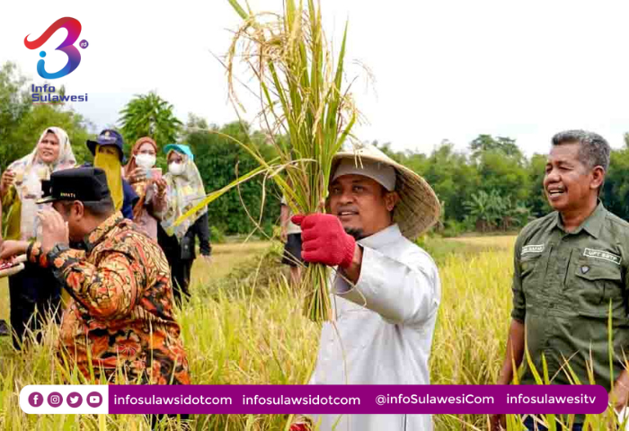 Pertanian Sulsel Berjaya Di Era Pemerintahan Andi Sudirman Sulaiman