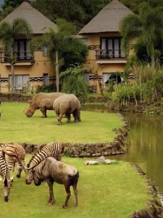 Keindahan Alam Bali Jadi Daya Tarik Utama di Libur Sekolah