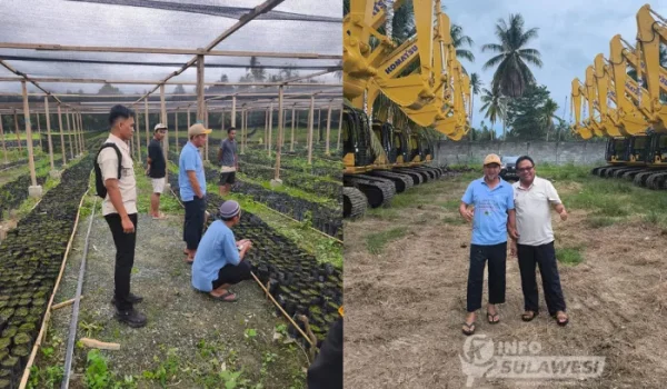 Harapan Baru Tumbuh di Tojo Una-Una: Visi Bupati Ilham Lawidu Mulai Terwujud dari Desa