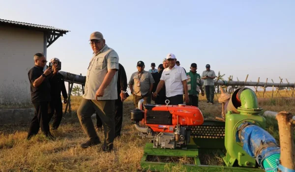 Hadapi Potensi El Nino 2026, Kementan Percepat Pompanisasi untuk Selamatkan Musim Tanam dan Jaga Produksi Pangan