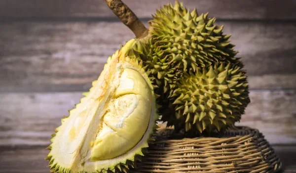 Ilustrasi. Ternyata ada triknya saat makan durian, agar berat badan tidak naik.