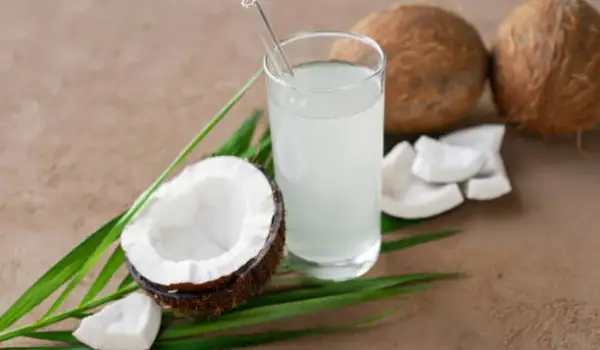 Manfaat Air Kelapa Untuk Kesehatan Tubuh, Minuman Alami yang Kaya Nutrisi