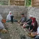 Mantan Bupati Luwu Timur Bersama Keluarga Berziarah ke Kompleks Makam Datuk Pattimang