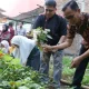 Kembangkan 50 Titik Pertanian Kota, Pemkot Makassar Integrasikan â€˜Urban Farmingâ€™ dan Pasar Tani