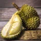 Ilustrasi. Ternyata ada triknya saat makan durian, agar berat badan tidak naik.