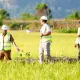Gubernur Sulsel Tinjau Progres Paket 3 MYP Rehabilitasi DI Leang Londrong Pangkep, Perkuat Pasokan Air untuk 1.200 Hektare Sawah