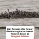 Saat Ratusan Ular Keluar dari Penangkaran Karena Terseret Banjir Di Tiongkok Selatan