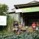 Suasana Rumah Koran di Desa Sejahtera Astra Kanreapia, Kabupaten Gowa, Sulawesi Selatan.