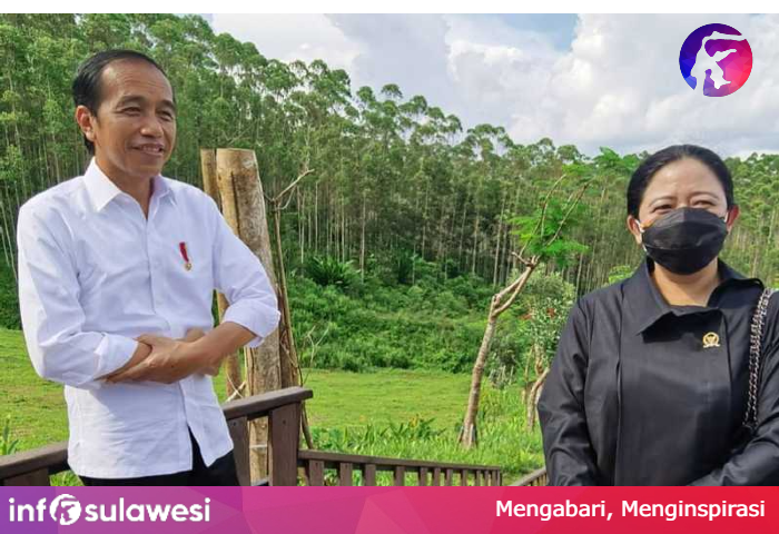 Puan Dampingi Jokowi Tinjau IKN Nusantara