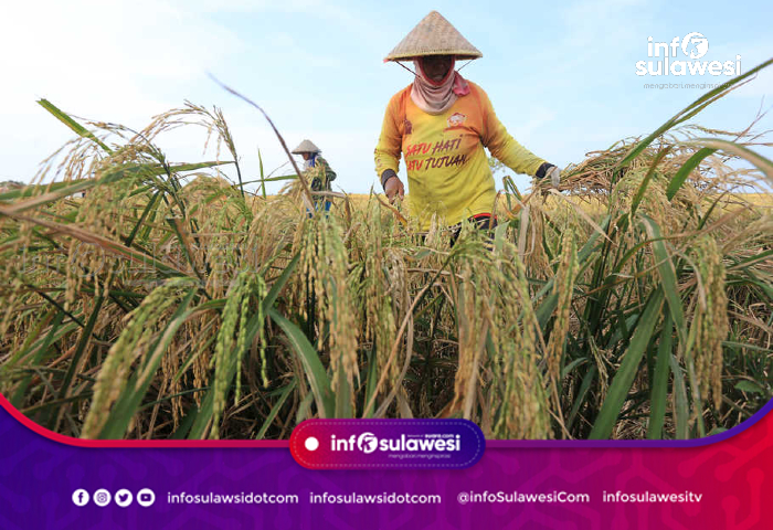 Presiden Jokowi Perintahkan Mentan Untuk Jaga Neraca Produktivitas Pertanian Dalam Negeri